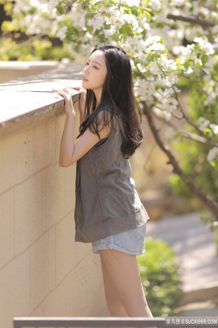 人猿泰山h版一关