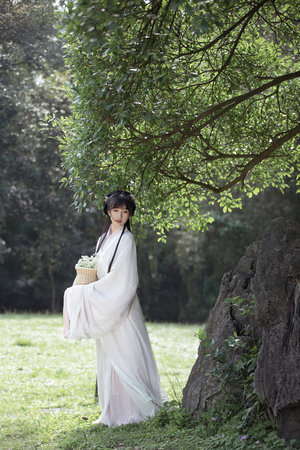 后宫帝王之妾在线