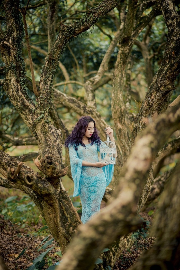 凤凰卫视资讯台直播